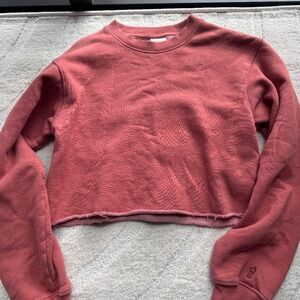 Aritzia Cropped Crewneck